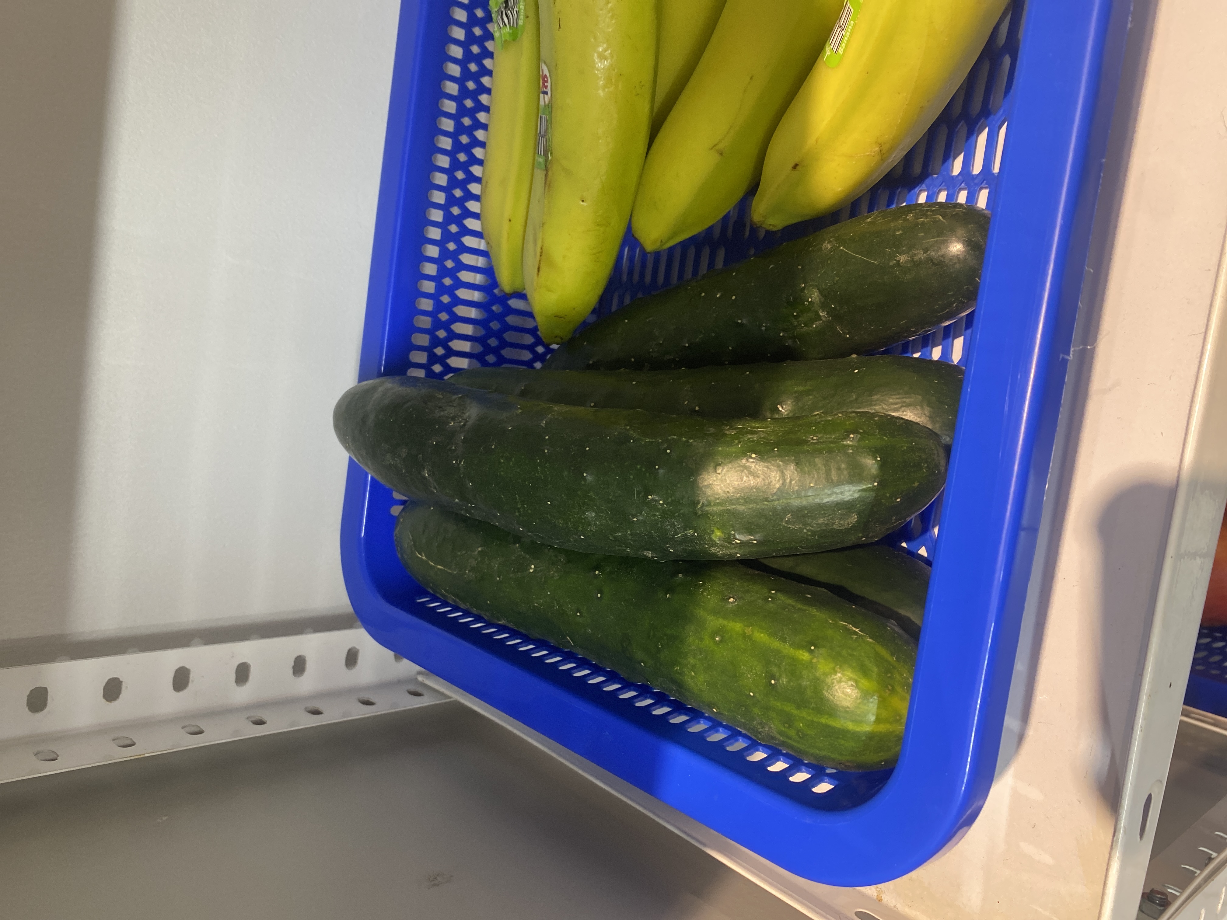 Pepino